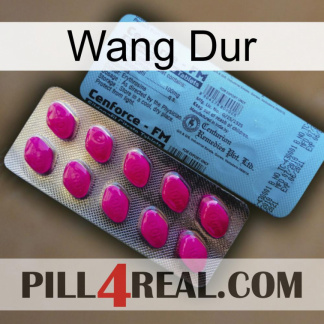 Hard Wang 35
